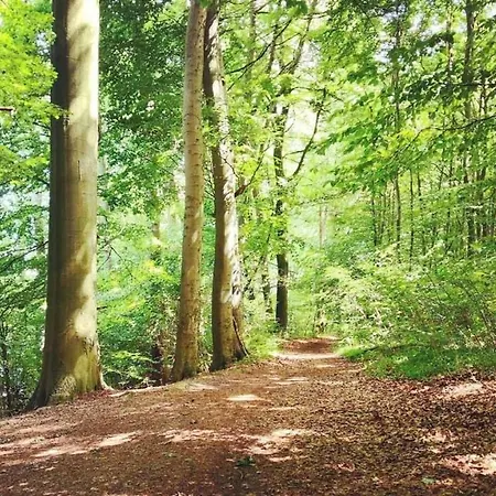 Ferienhaus Seewaldmeer #115326 Ferienhaus